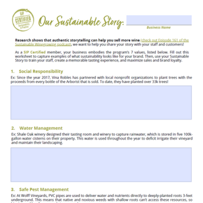 Worksheet: Our Sustainable Story (electronic)