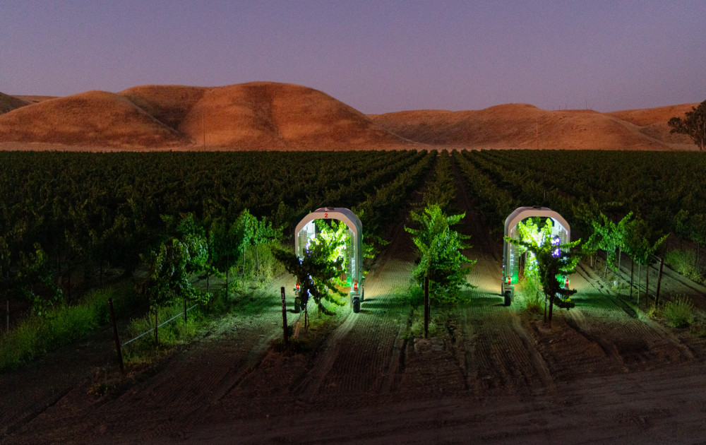 Managing Mildew with Light