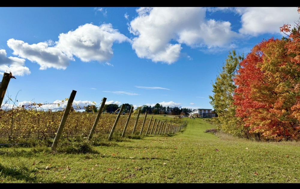 Sustainable Water Stewardship 