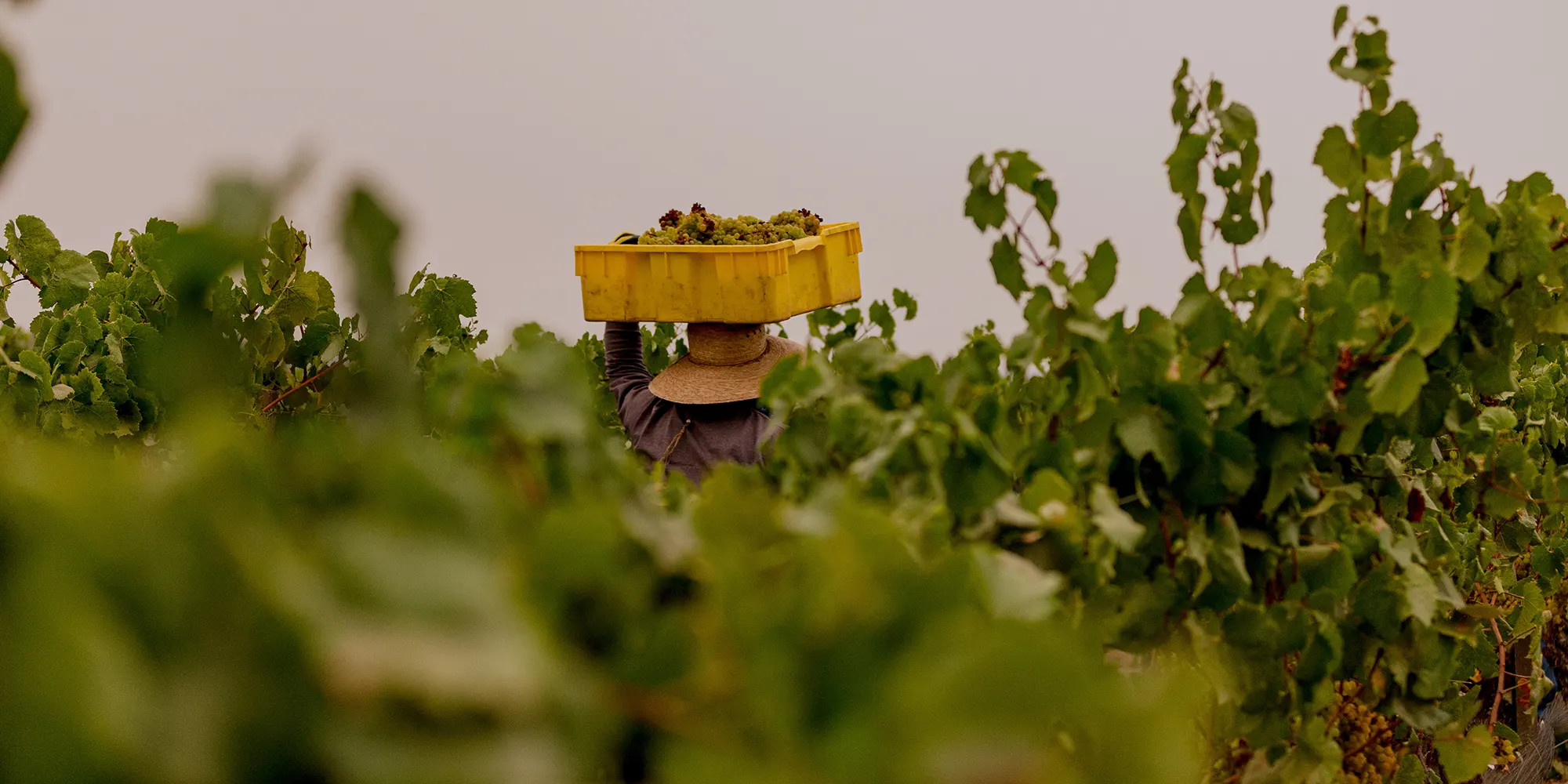 Sustainable. Seriously.