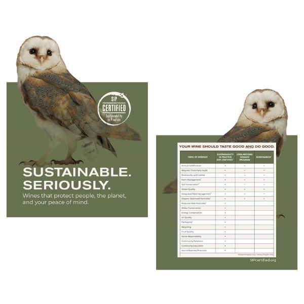 Owl Postcard